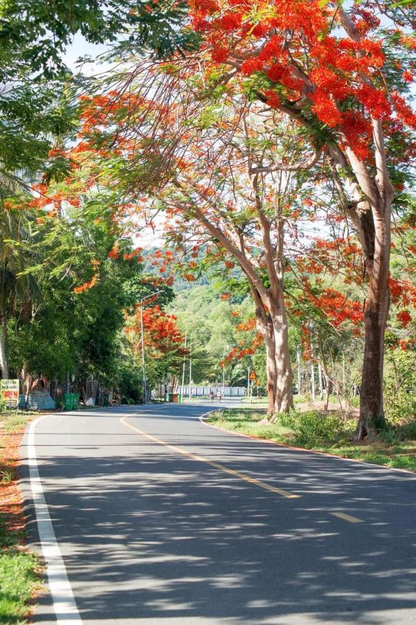 Homstay Thanh Son Chi Khu Co Ong Exteriér fotografie